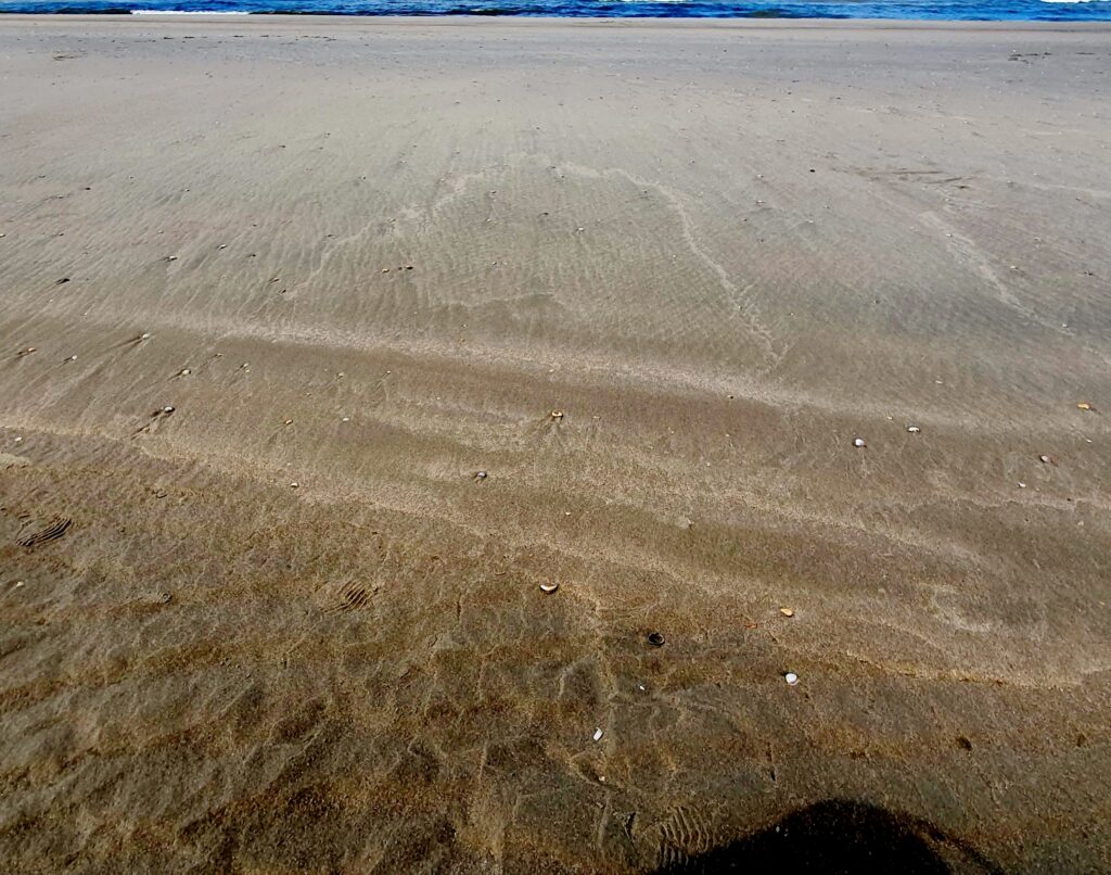 Castricum 1 - augustus 2023