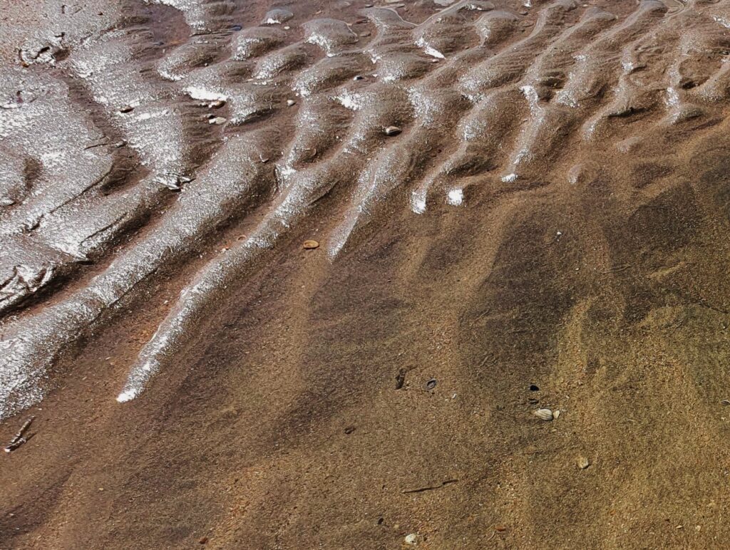 Castricum 5 - augustus 2023