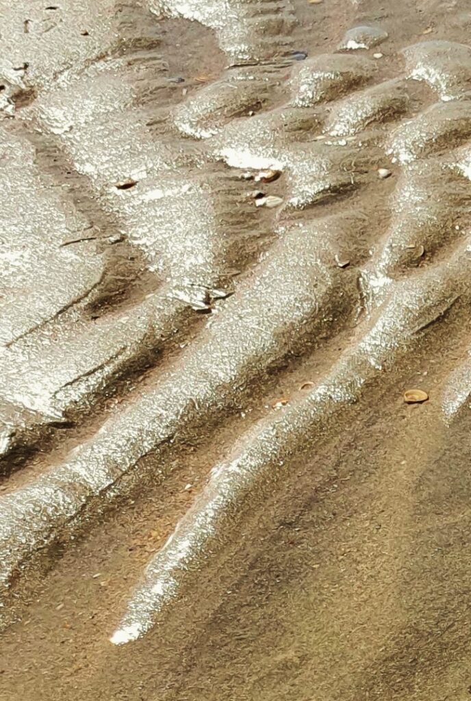 Castricum 5a - augustus