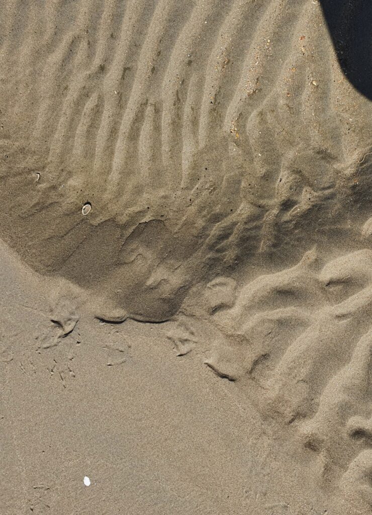 Castricum 8 - augustus 2023