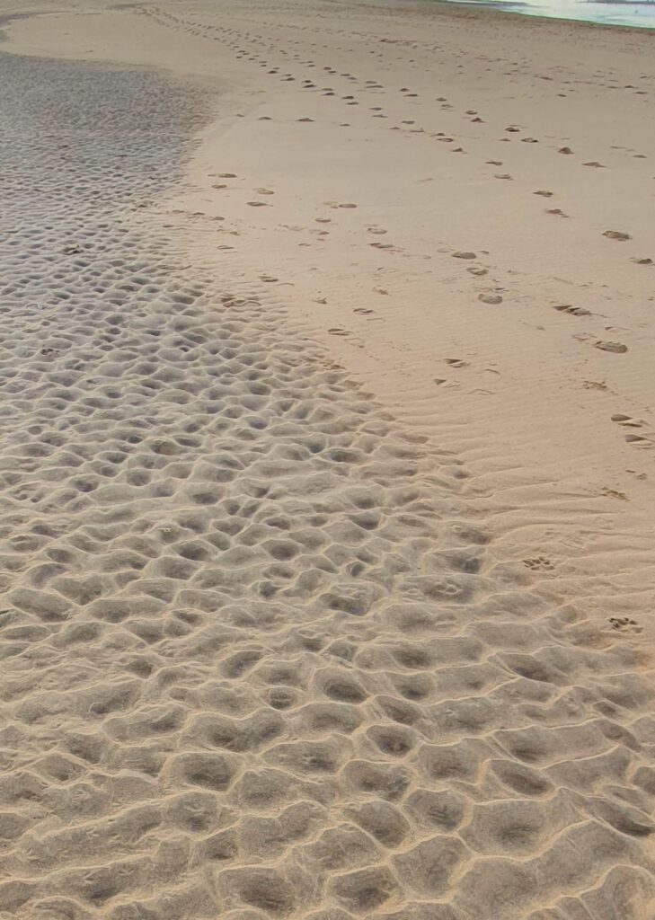 Katwijk 4 - januari 2022