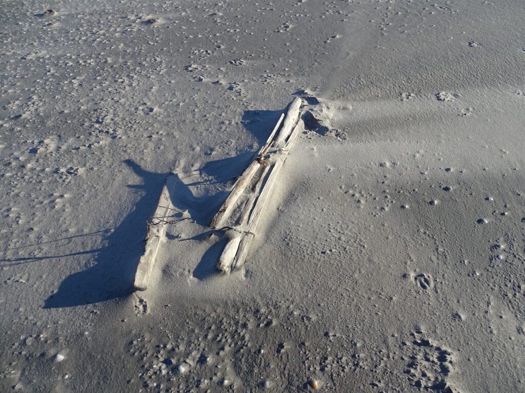 Zandmotor 2.19 - januari 2024