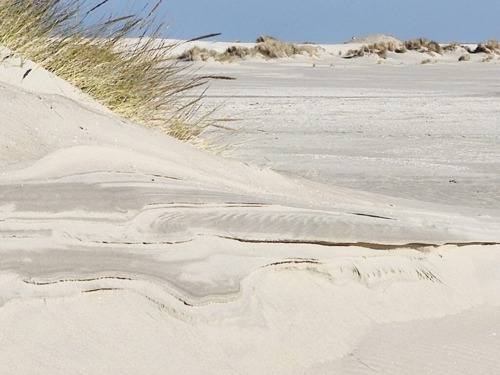 Zandmotor 3.10 februari 2025