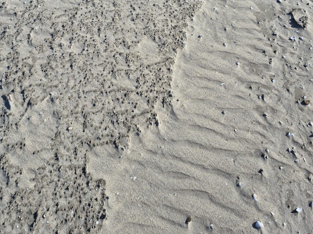 Zandmotor 3.11 Februari 2025