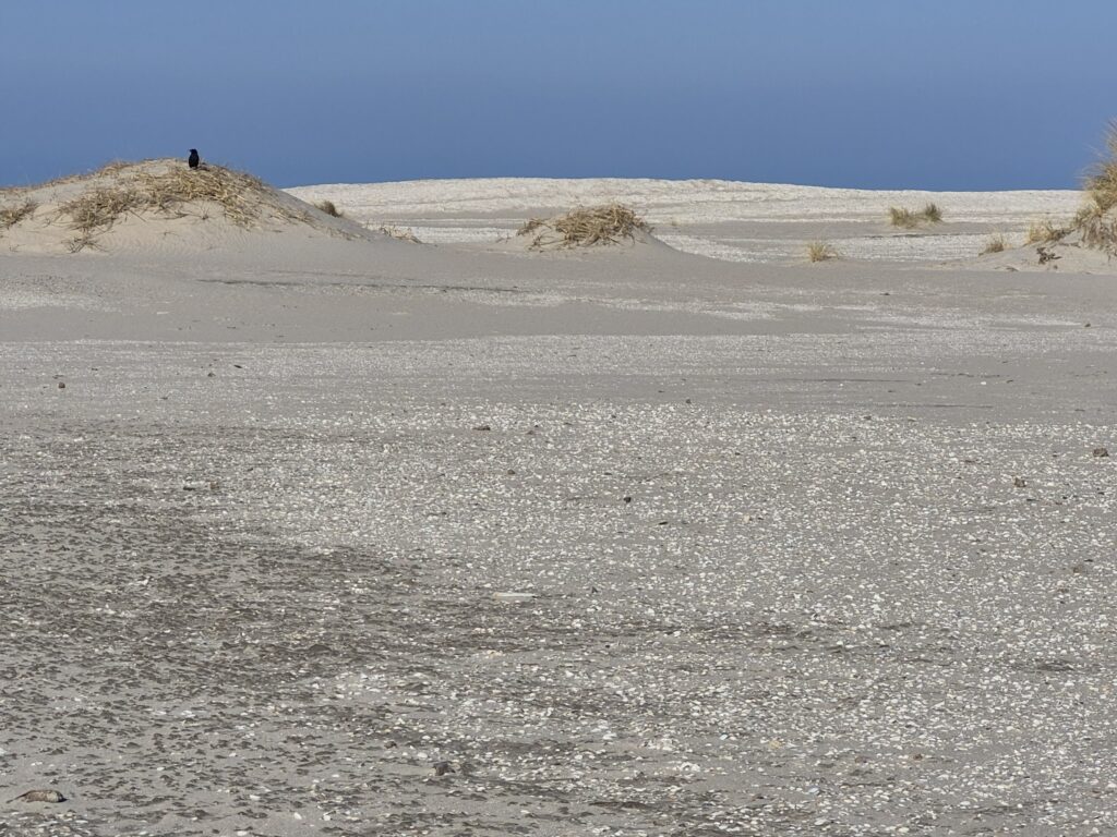 Zandmotor 3.12 februari 2025