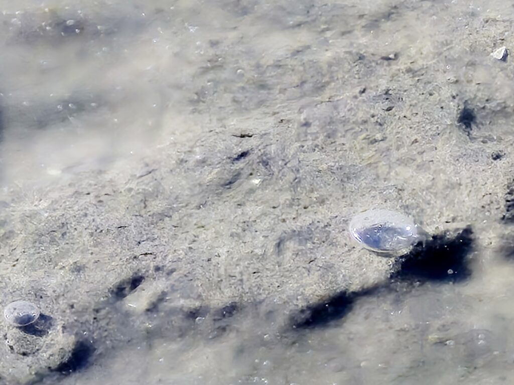 Zandmotor 3.18 Februari 2025