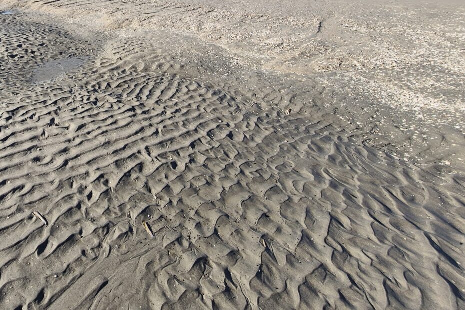 Zandmotor 3.20 Februari 2025