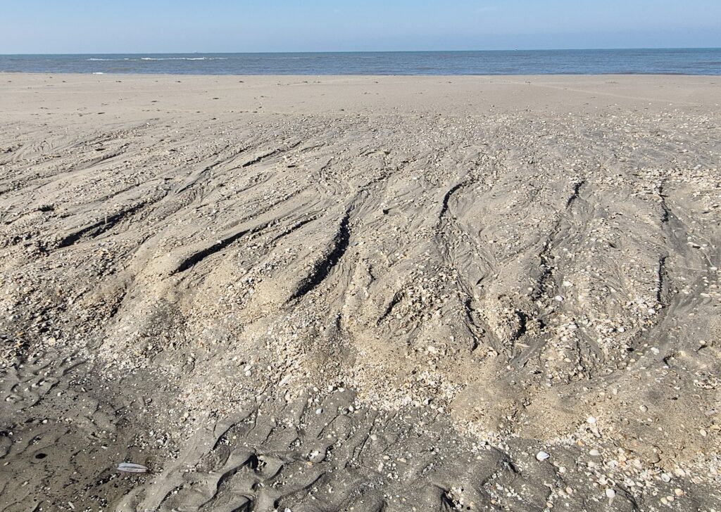 Zandmotor 3.22 Februari 2025