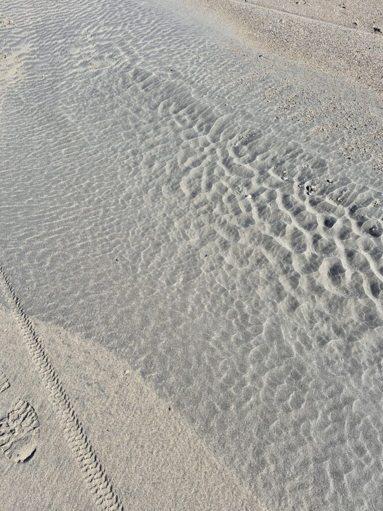 Zandmotor 3.23 februari 2025