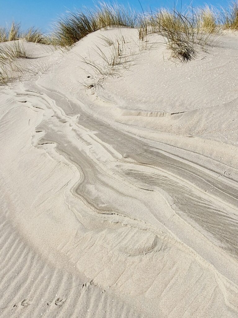 Zandmotor 3.3 Februari 2025