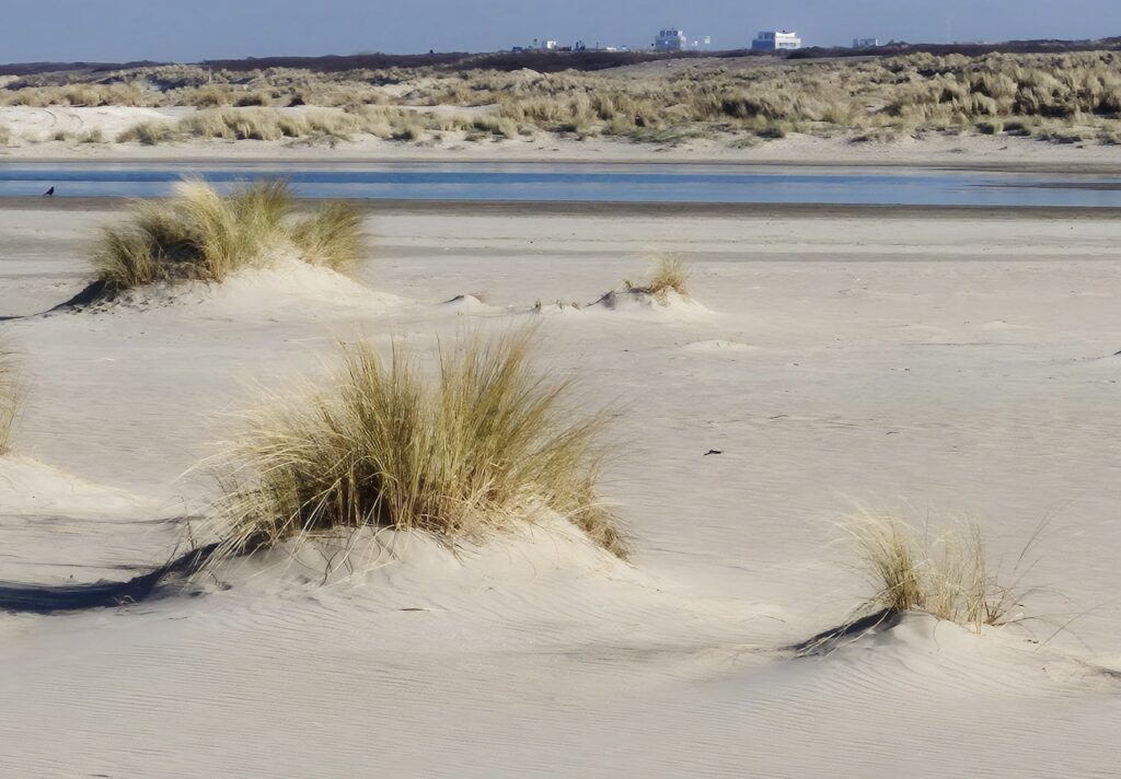 Zandmotor 3.6 februari 2025