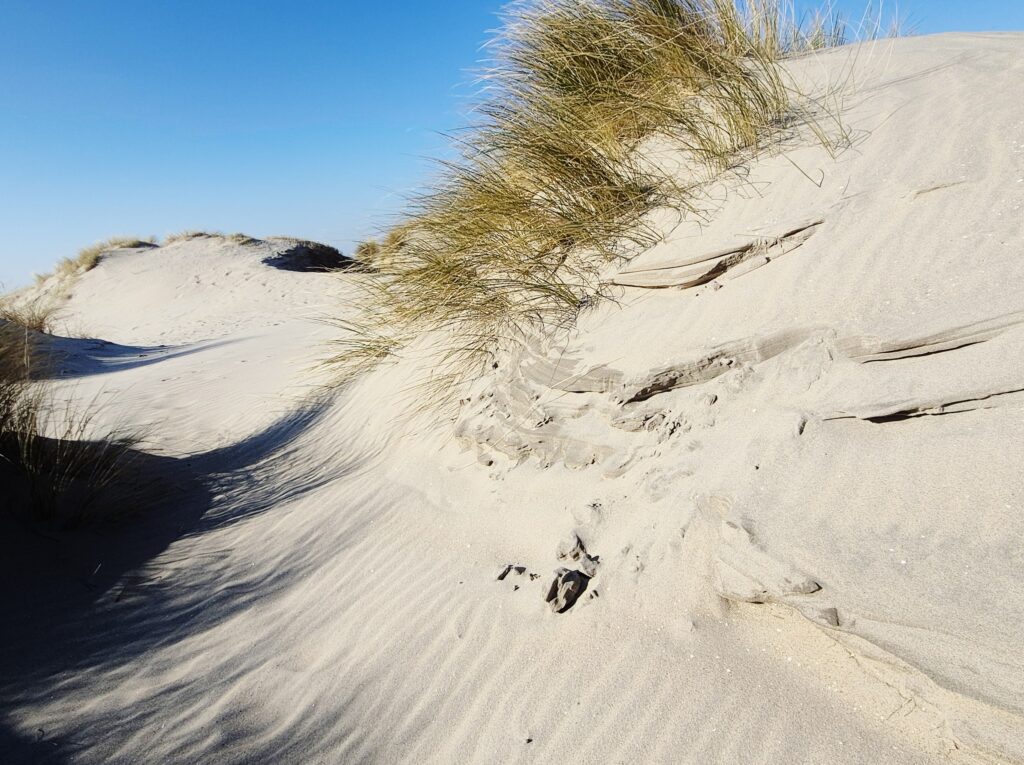Zandmotor 3.7 februari 2025