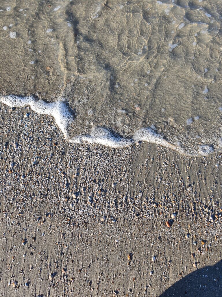 Renesse 1.1 januari 2025
