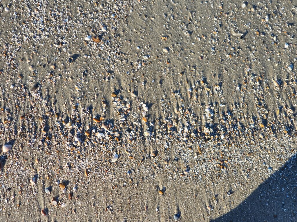 Renesse 1.2 januari 2025
