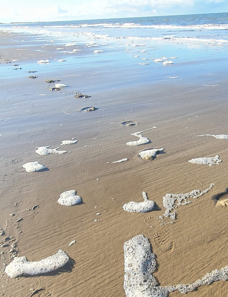 Renesse 1.4 januari 2025