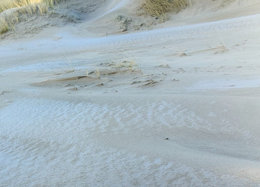 Renesse 1.5 januari 2025