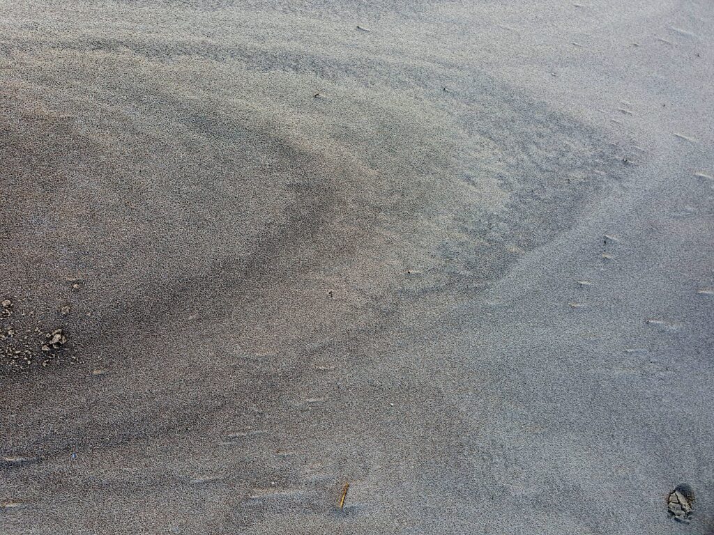 Renesse 1.8 januari 2025
