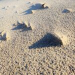 Renesse 1.9 januari 2025