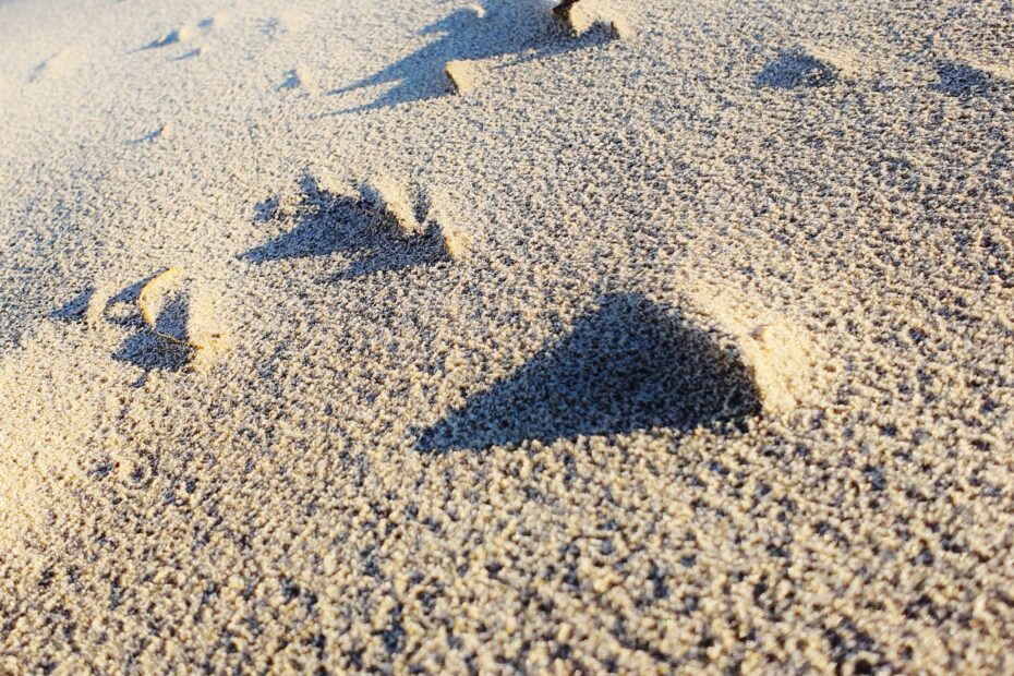 Renesse 1.9 januari 2025